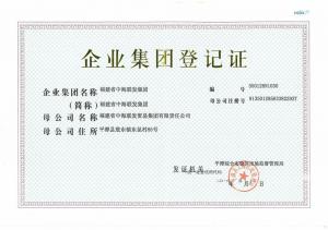 中海聯發(fā)集團企業(yè)集團登記證